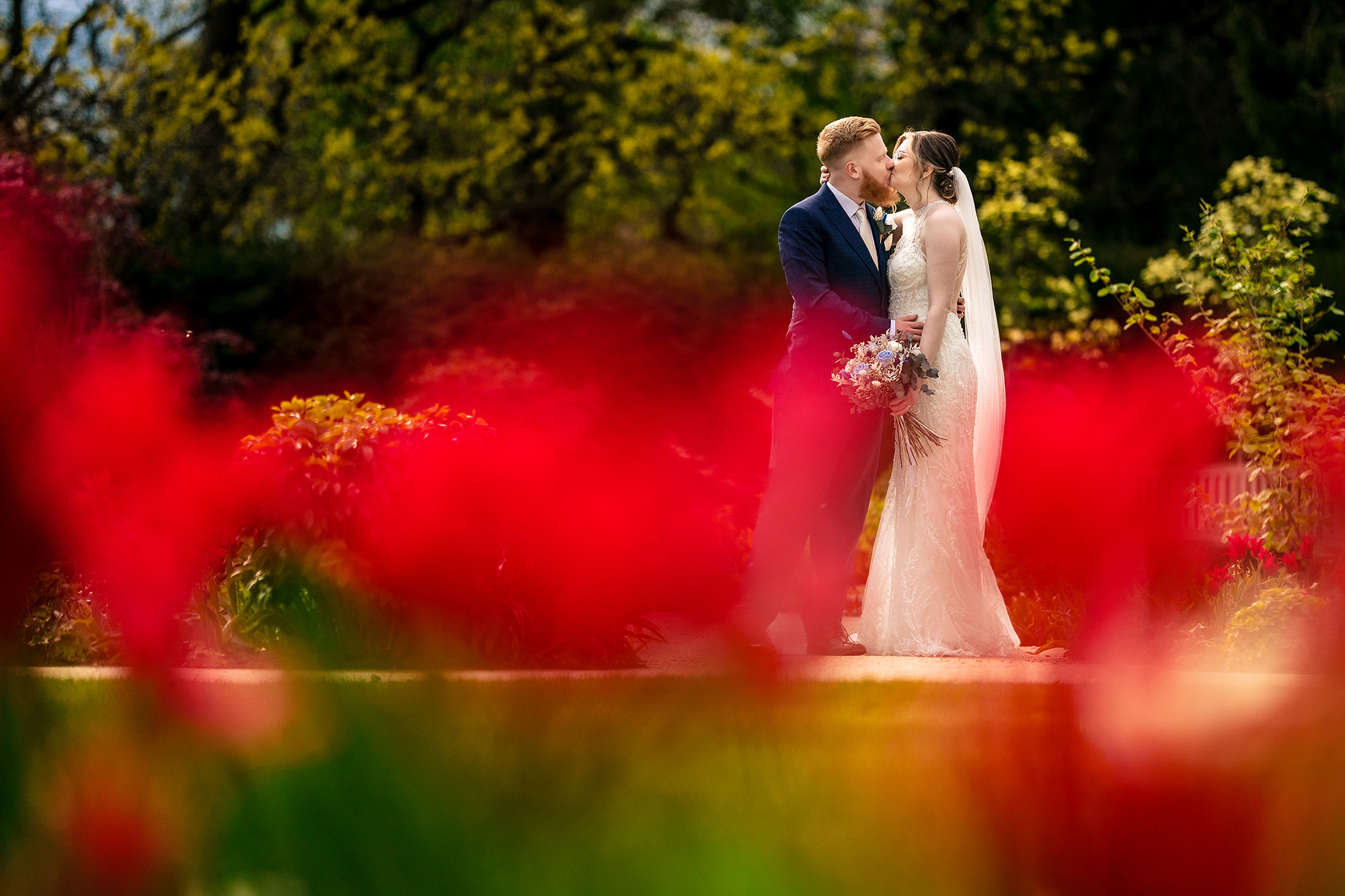 Bride and groom sharing a kiss under deep red maple leaves at golden hour, Salt House wedding photographer
