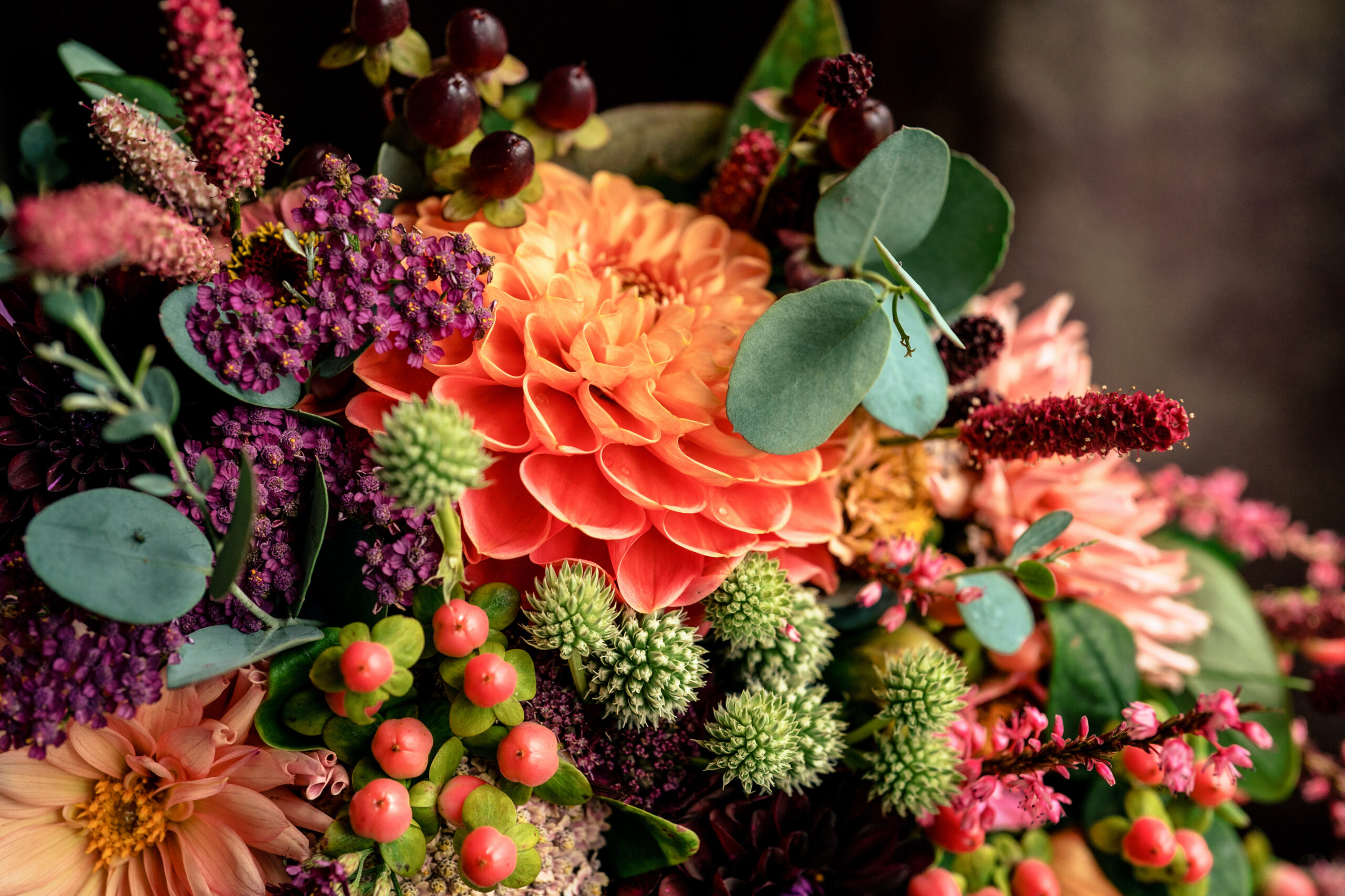 Close up of a bridal bouquet of coral dahlias, berries and eucalyptus, Cheshire wedding photographer