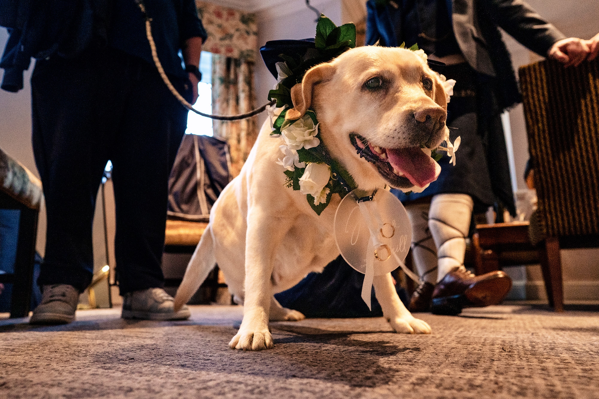 Sula, on ring bearer duty for the day, in the hallway at Crewe Hall