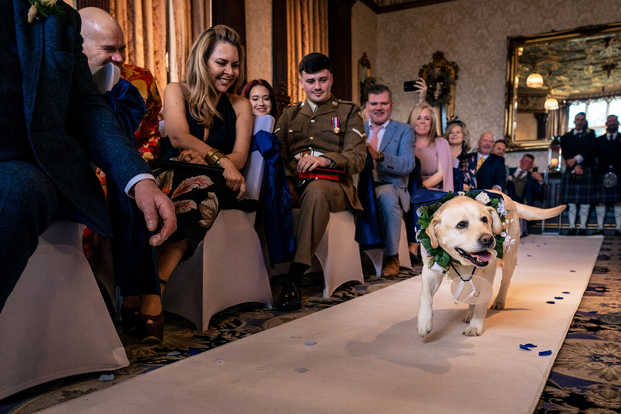 Sula the dog walking the aisle at Crewe Hall on ring bearer duty, watched by delighted guests