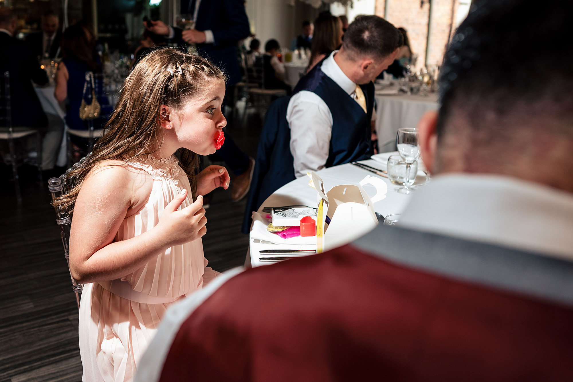 Guests raising a toast during the speeches, Merrydale Manor wedding photographer