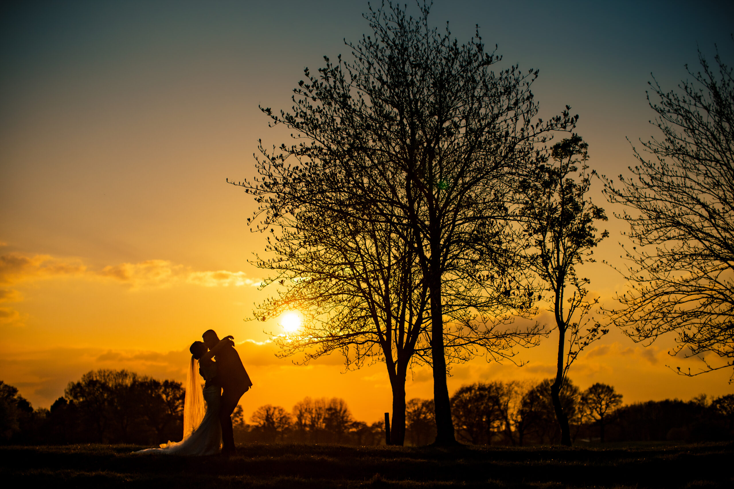 Dean and Bethany silhouetted under a tree against an orange sunset at Merrydale Manor