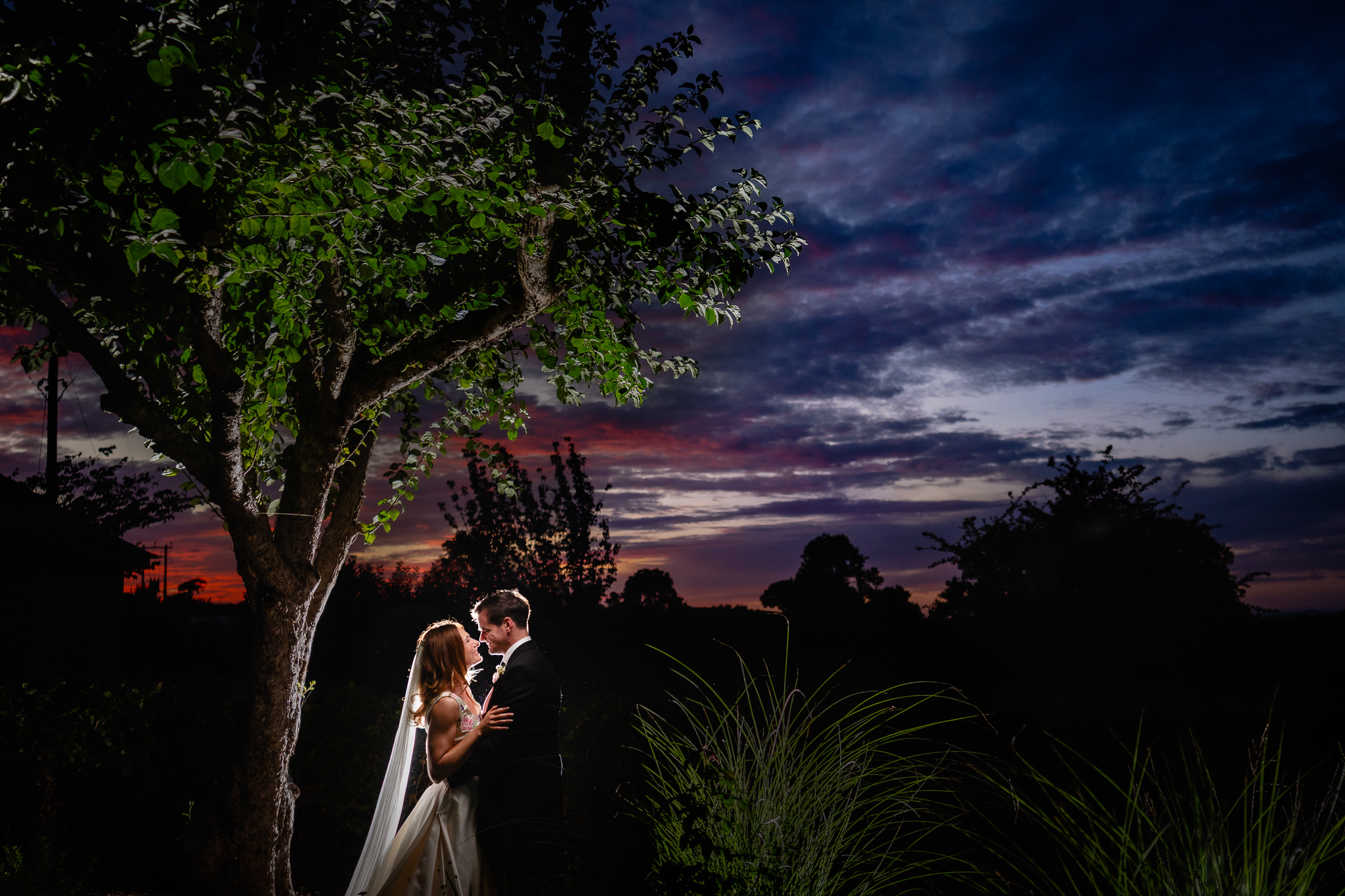 Bride and groom silhouetted under a tree against a pink and blue sunset