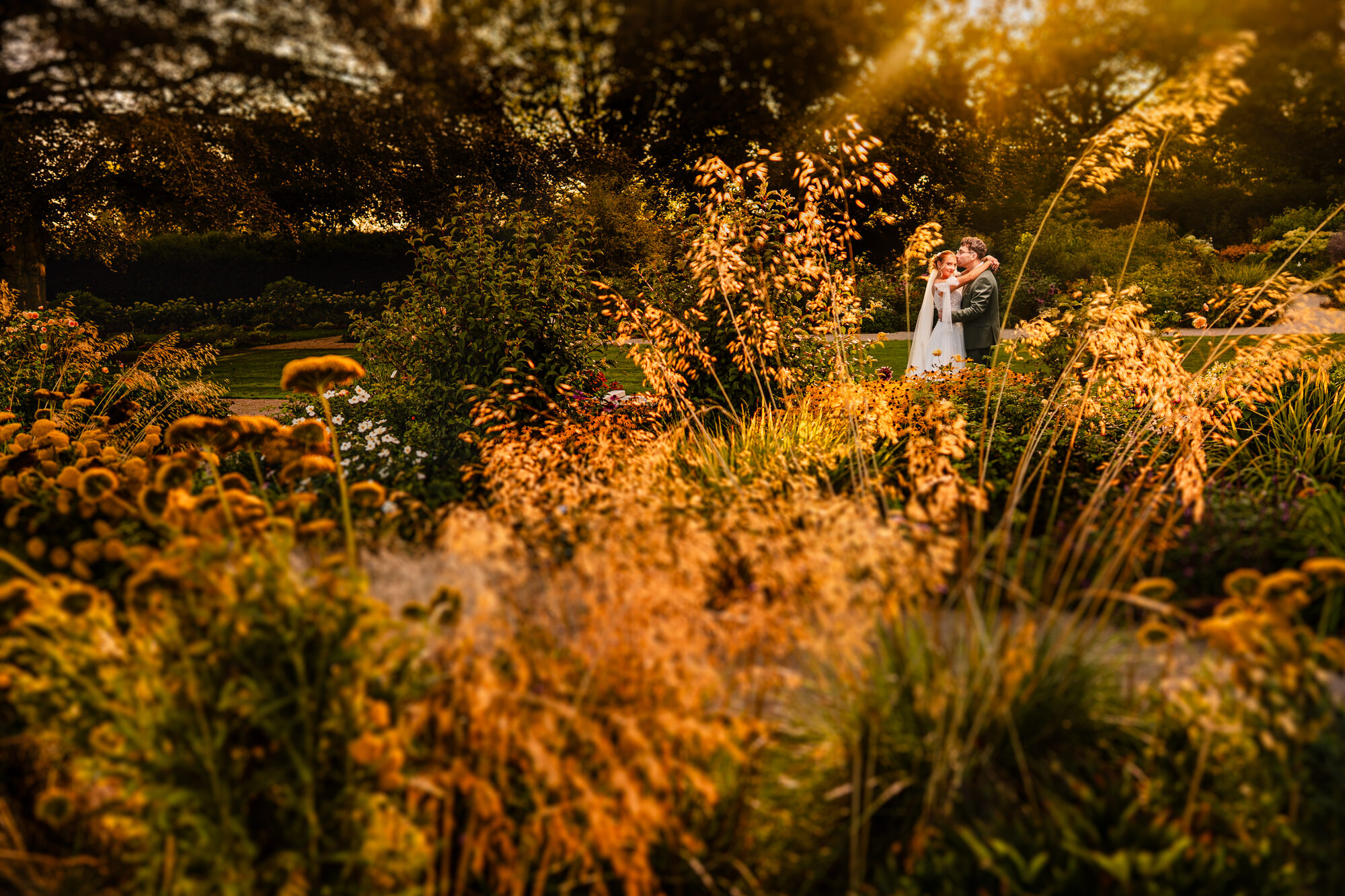 Bride and groom in tall autumn grasses at golden hour